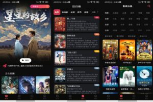 段友影视破解版v7.2.9-软软软件库